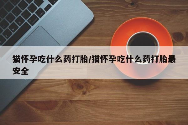 私人卖流产药的联系方式猫怀孕吃什么药打胎/猫怀孕吃什么药打胎最安全