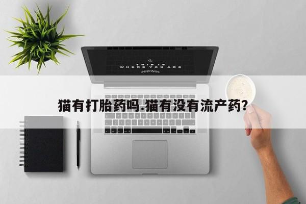 私人卖流产药的联系方式猫有打胎药吗.猫有没有流产药？